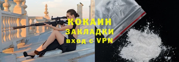 кокс Бородино