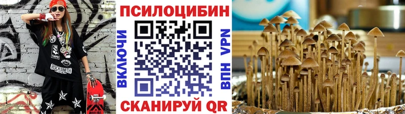 Галлюциногенные грибы Cubensis  Димитровград 
